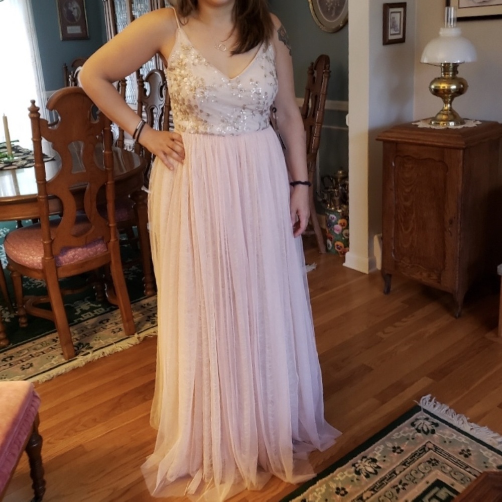 NWT Adrianna Pappell blush long dress size 4